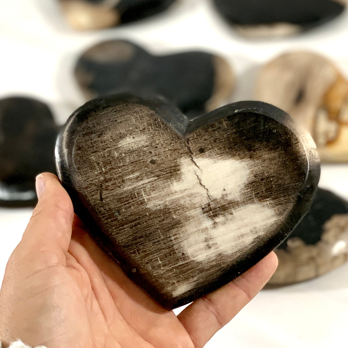 Fossil Wood Hearts  Buy Petrified Wood Online