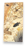 Fossil Fish Wall Mural; Vertical Ash